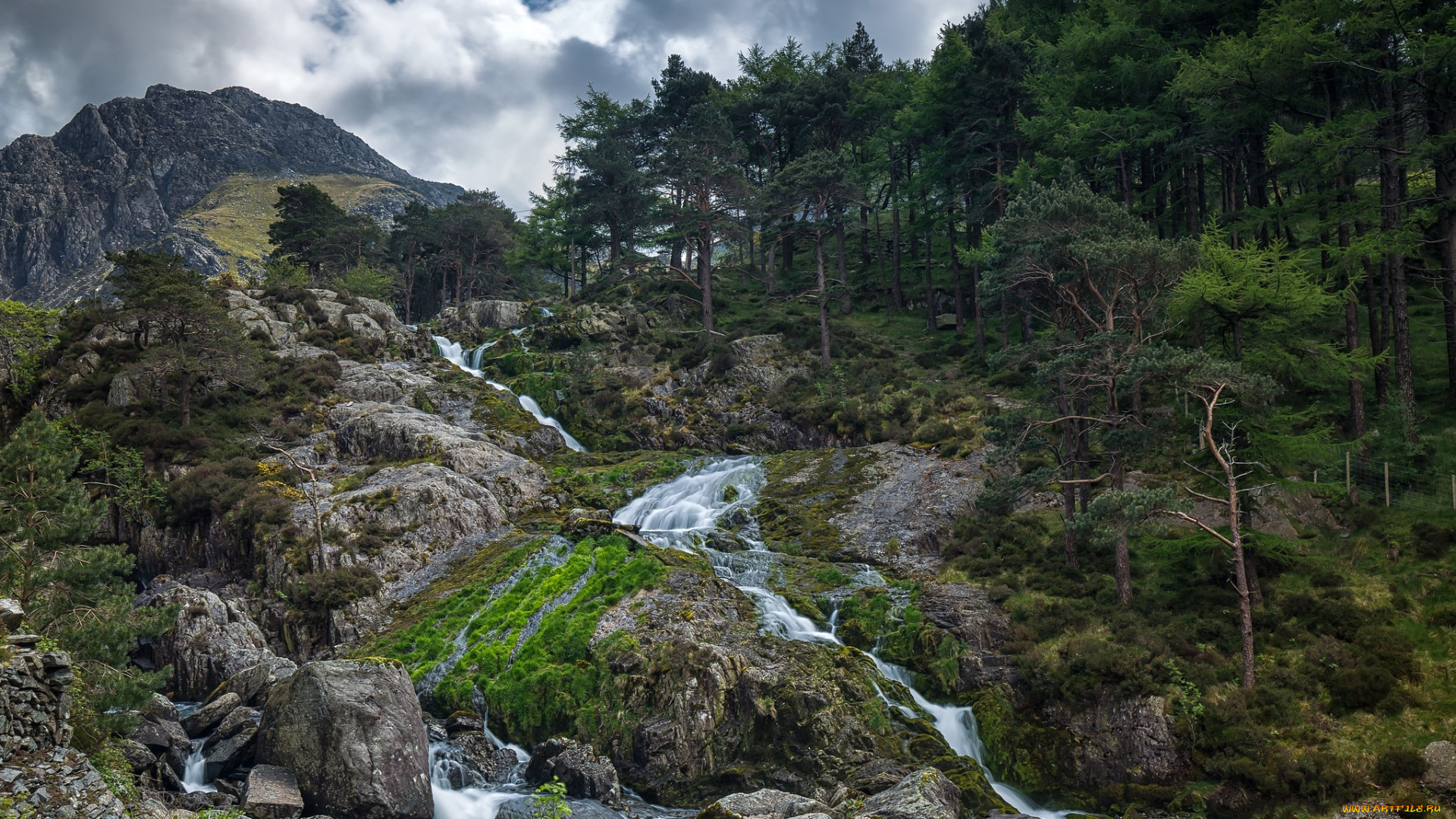 природа, горы, простор