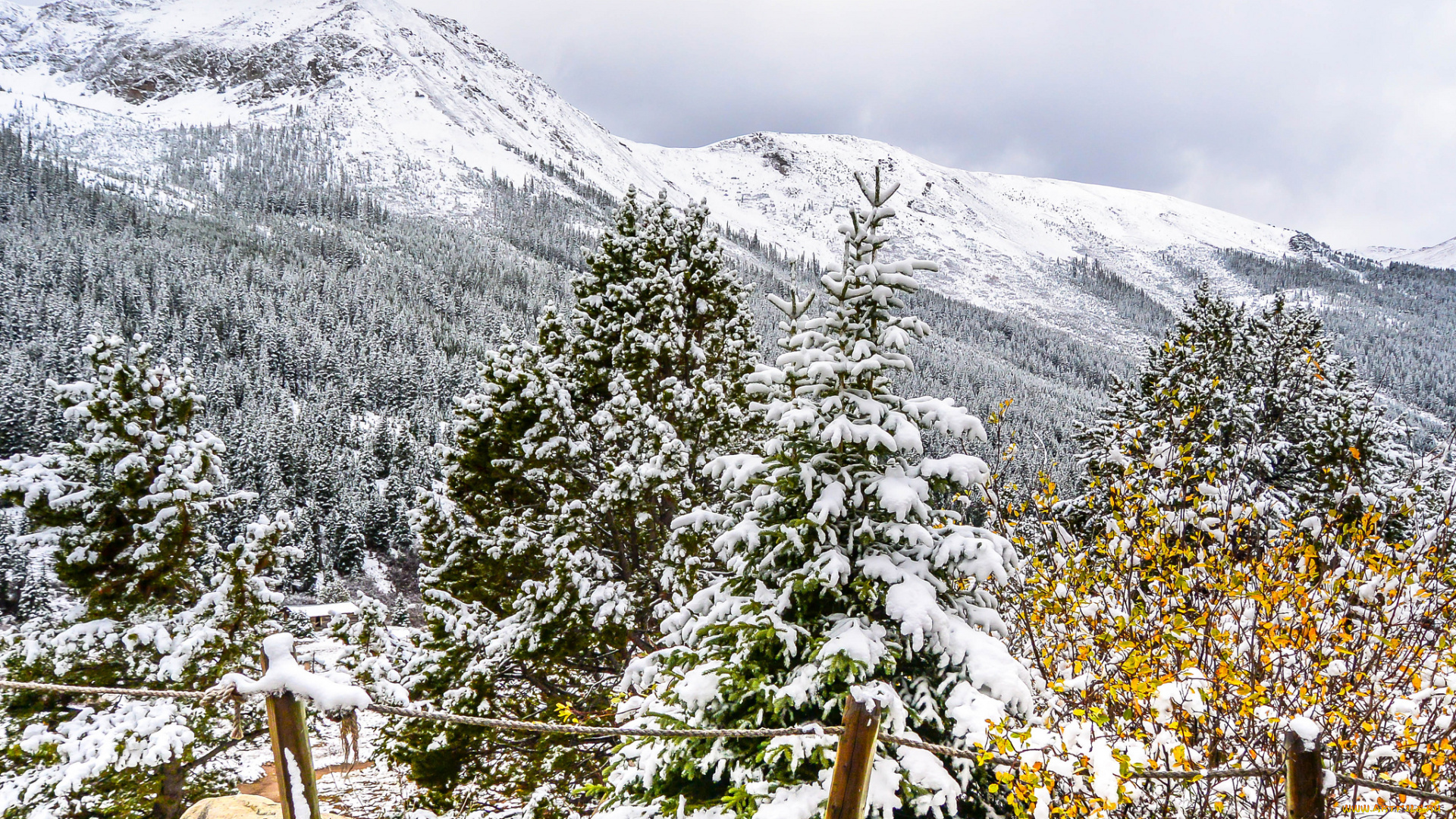 природа, горы, простор