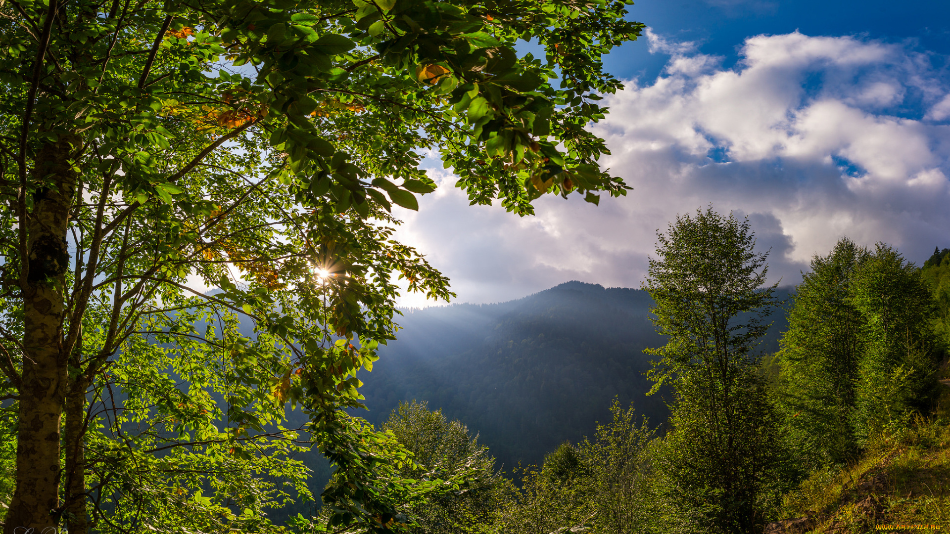 природа, пейзажи, простор