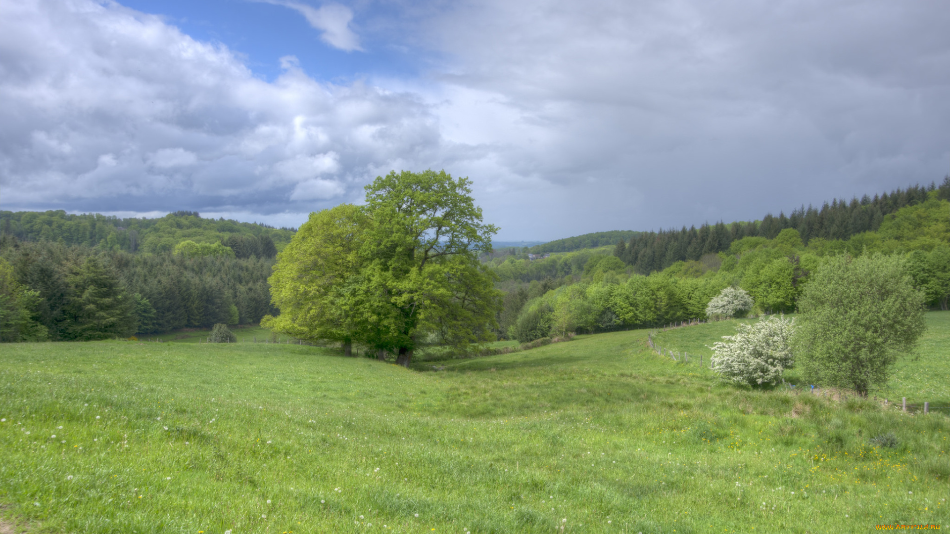 природа, пейзажи, простор