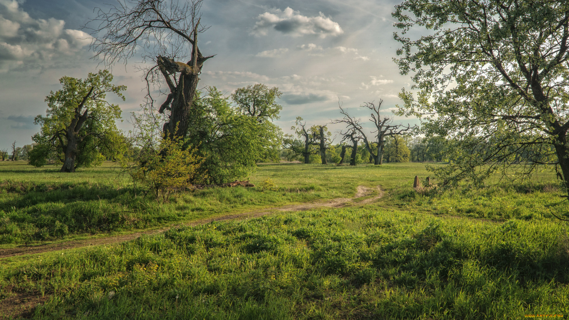 природа, пейзажи, простор