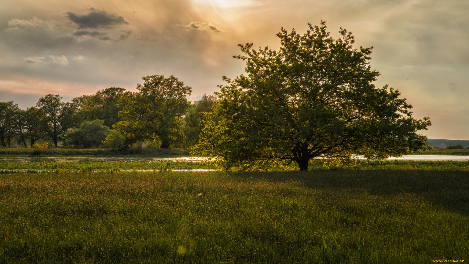 природа, пейзажи, простор