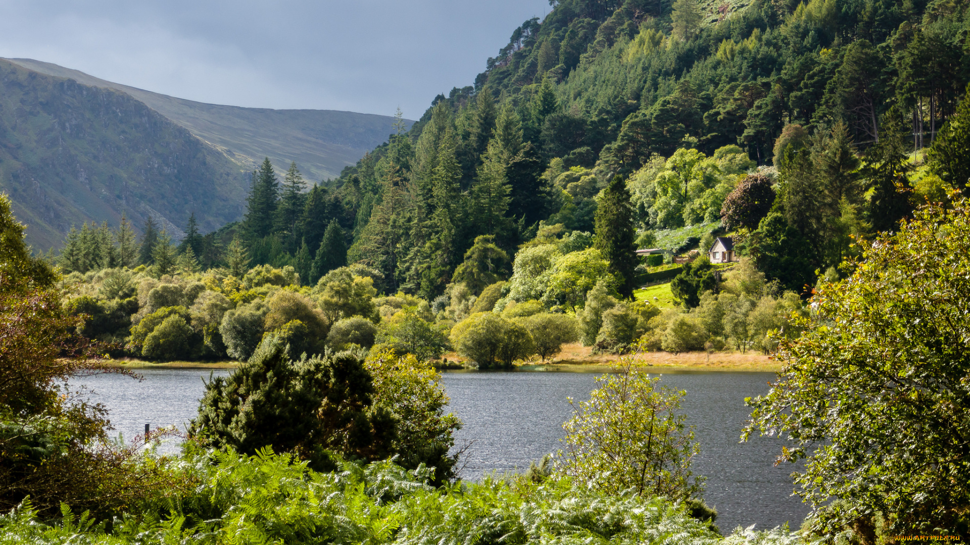 природа, реки, озера, простор