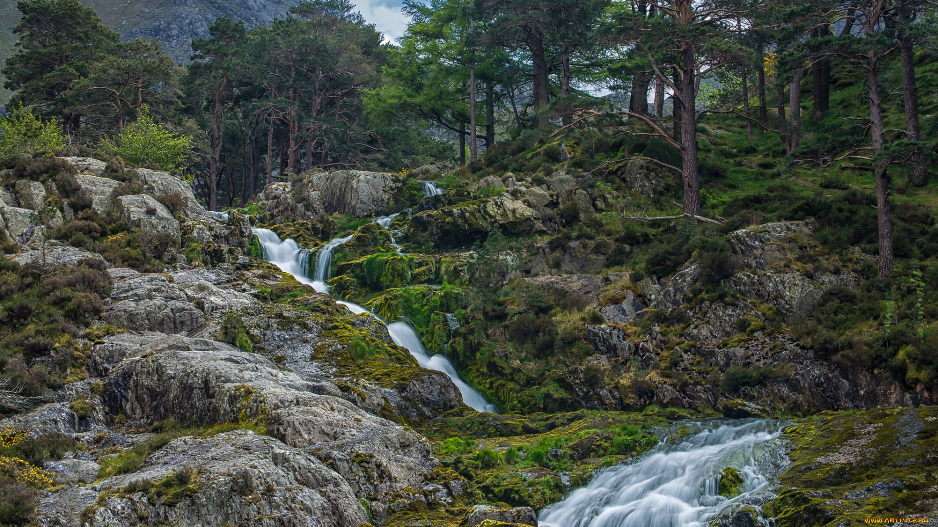 природа, реки, озера, простор