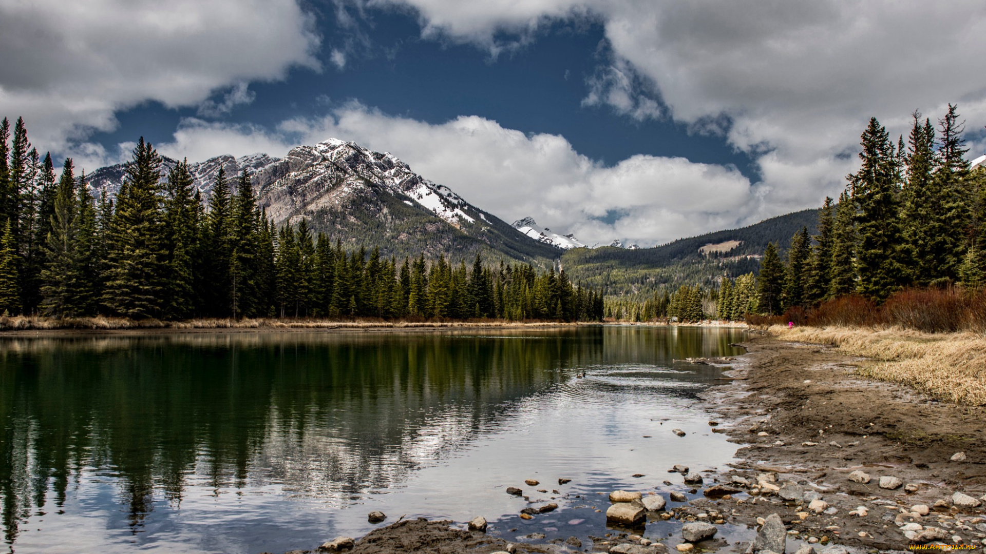 природа, реки, озера, простор