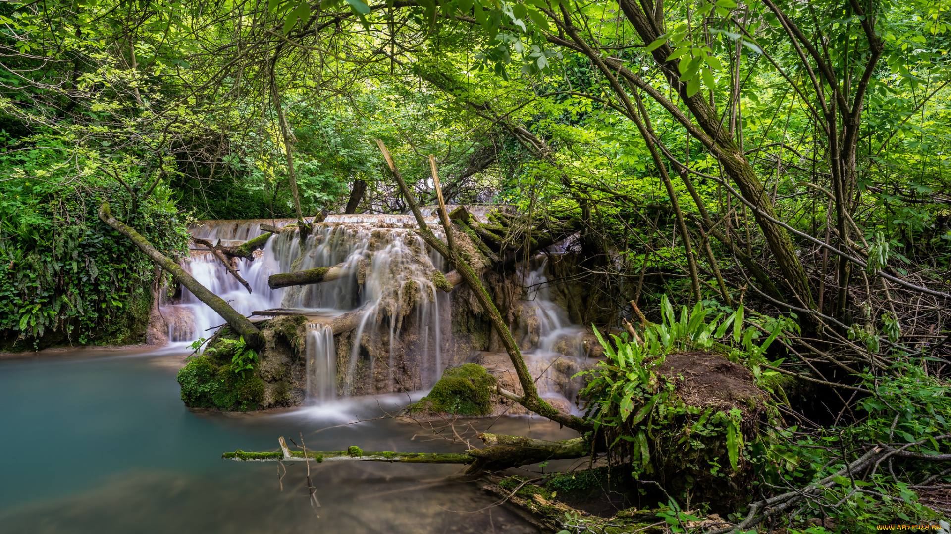 природа, реки, озера, простор