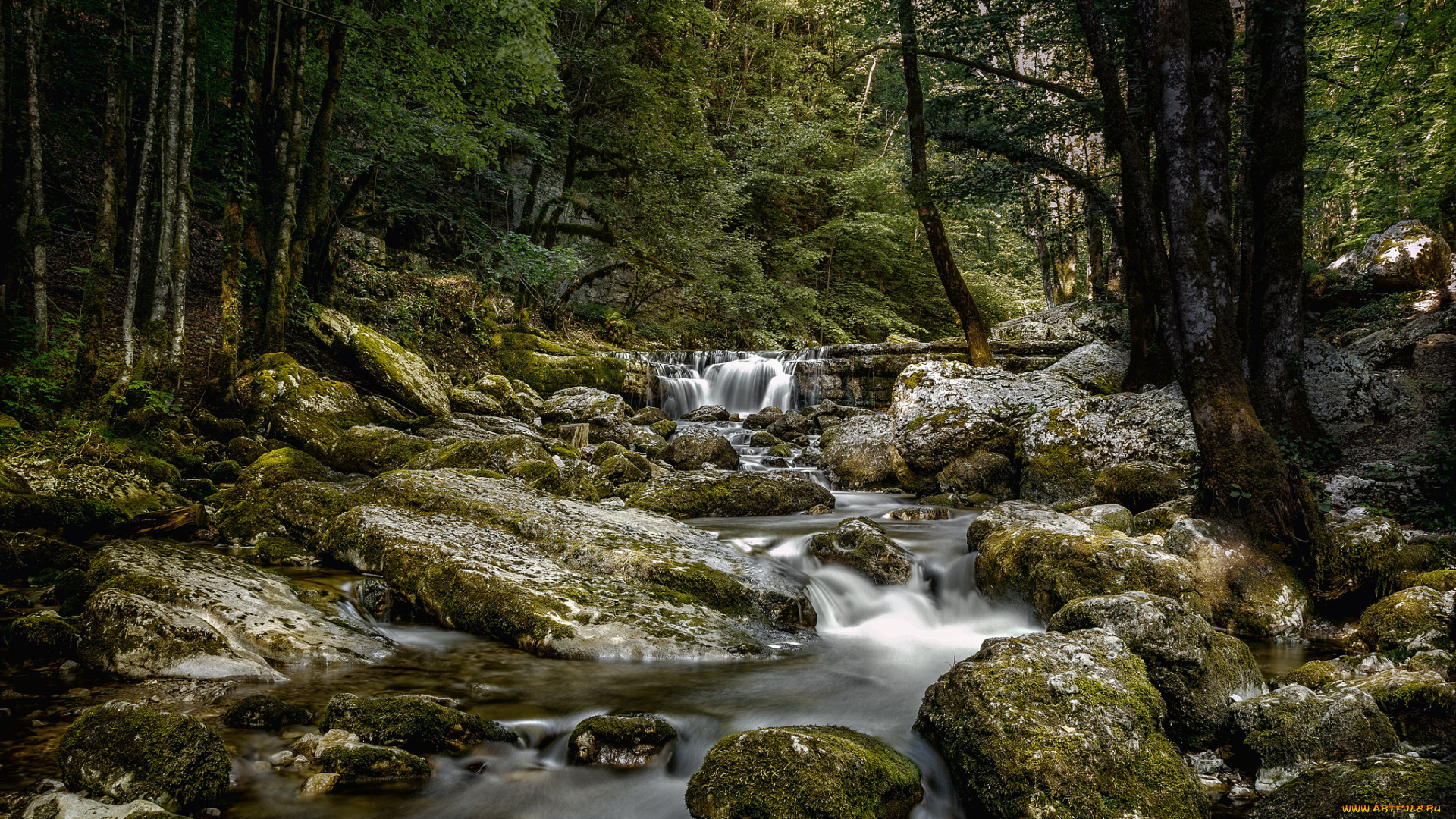 природа, реки, озера, простор