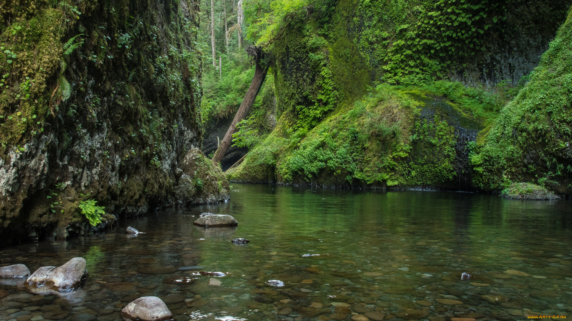 природа, реки, озера, простор