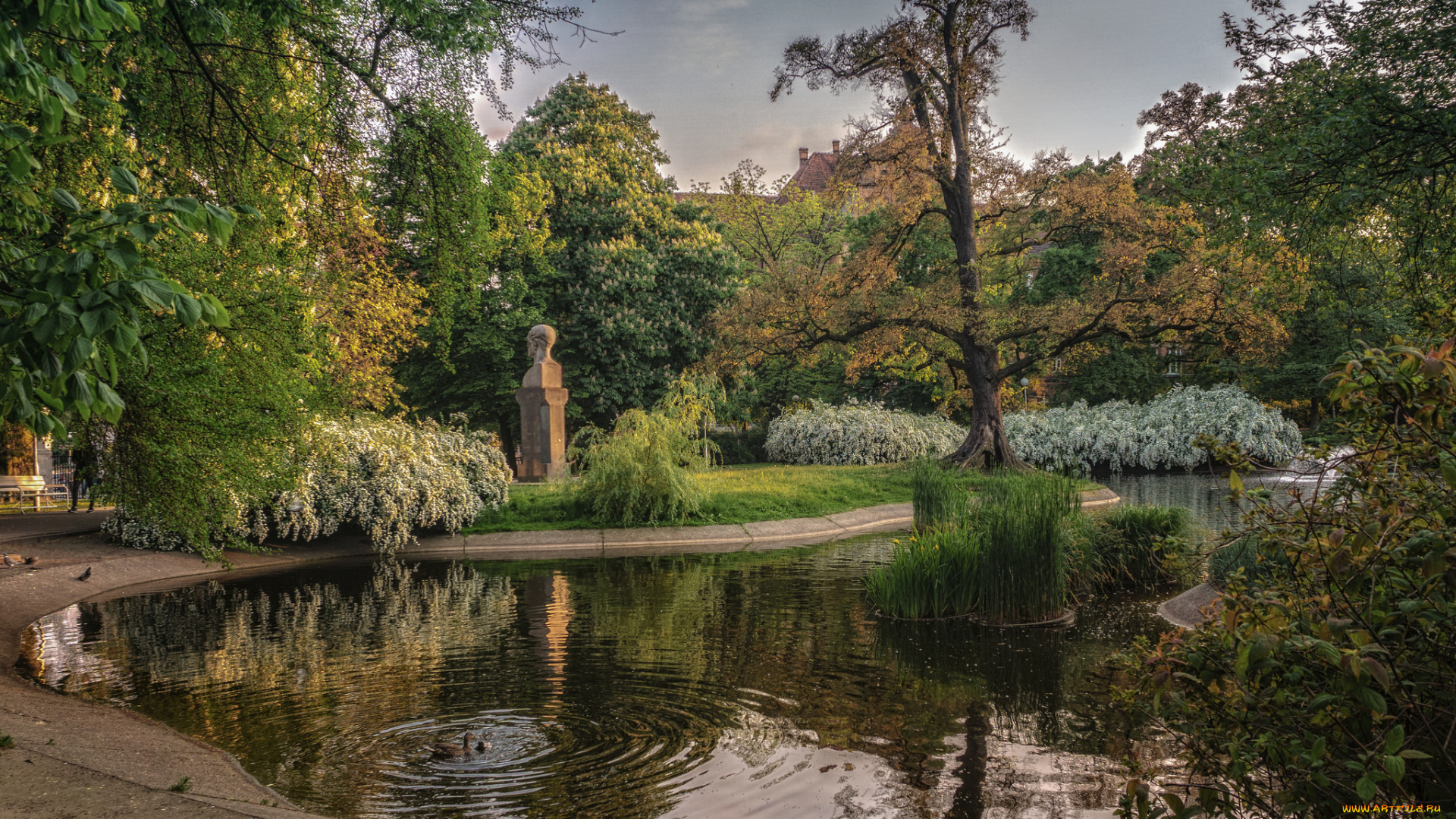 природа, реки, озера, простор