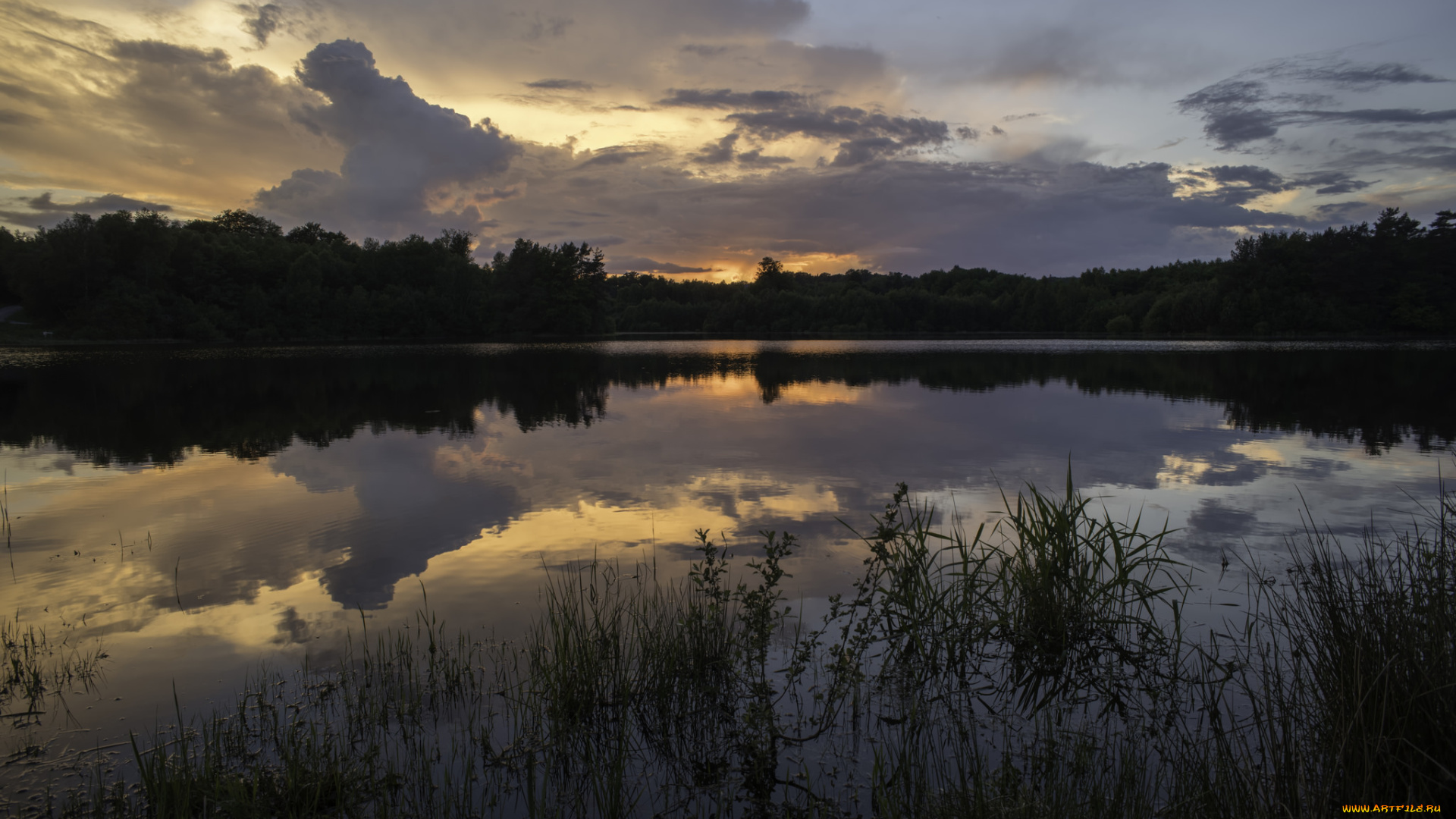 природа, реки, озера, простор