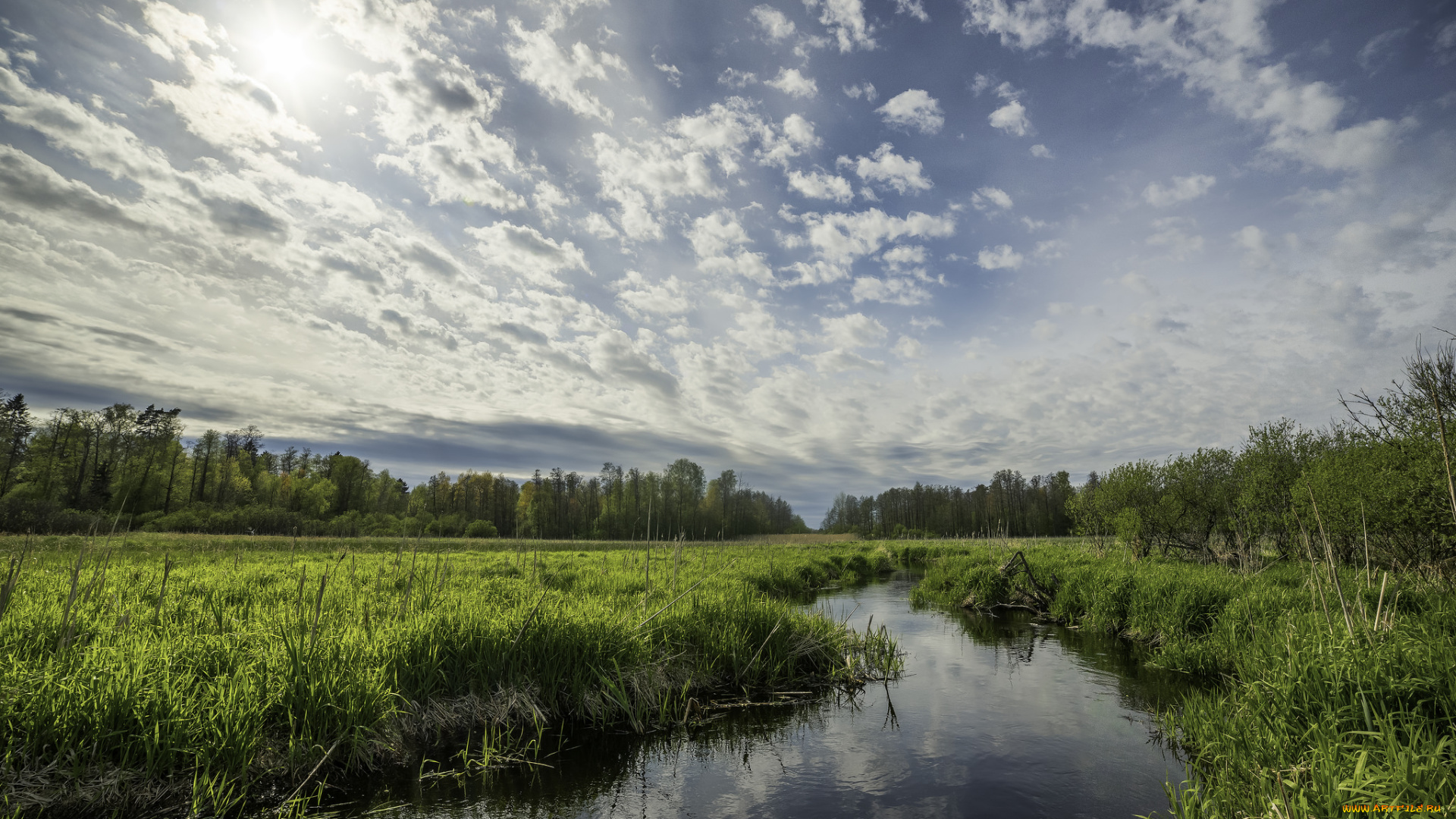 природа, реки, озера, простор