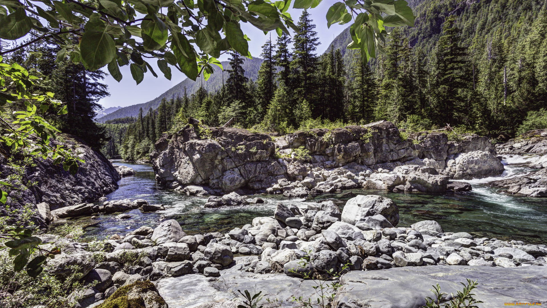 природа, реки, озера, простор