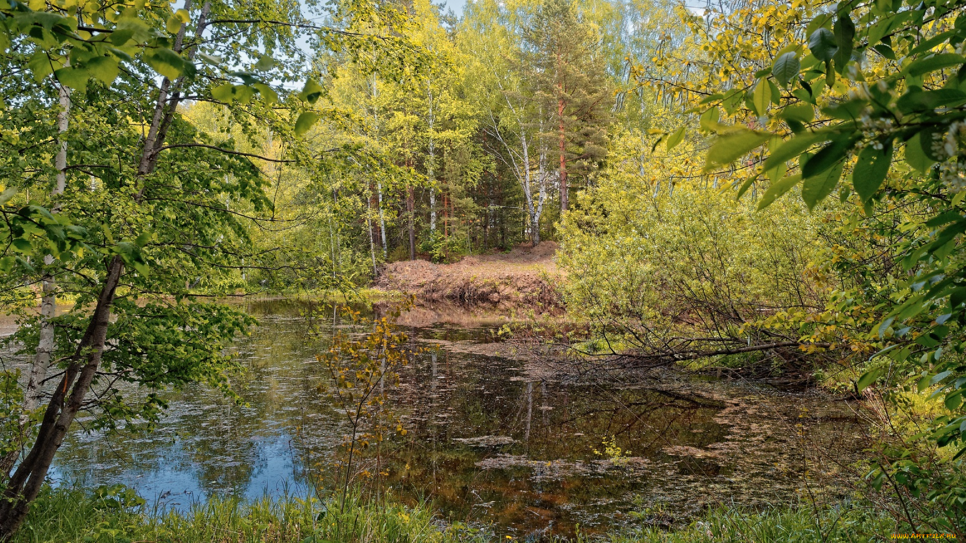 природа, реки, озера, простор