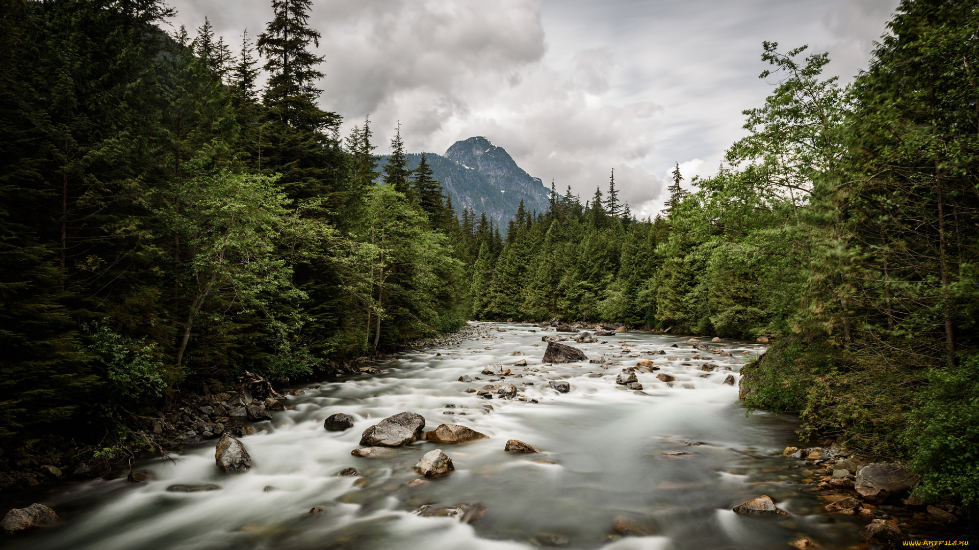 природа, реки, озера, простор