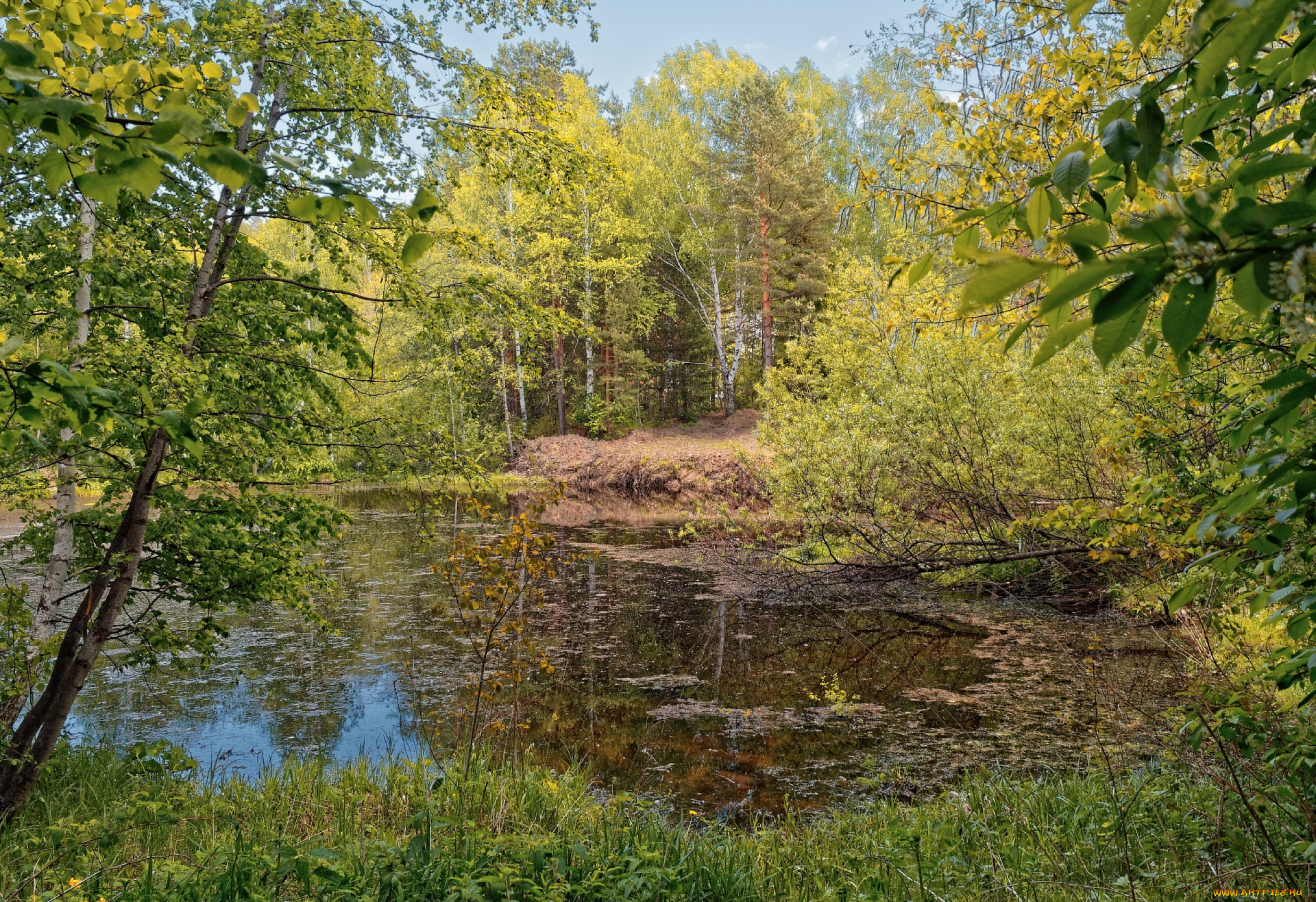 природа, реки, озера, простор