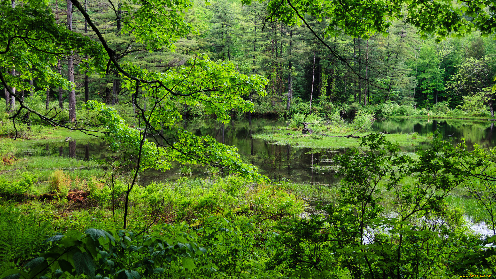 природа, реки, озера, простор