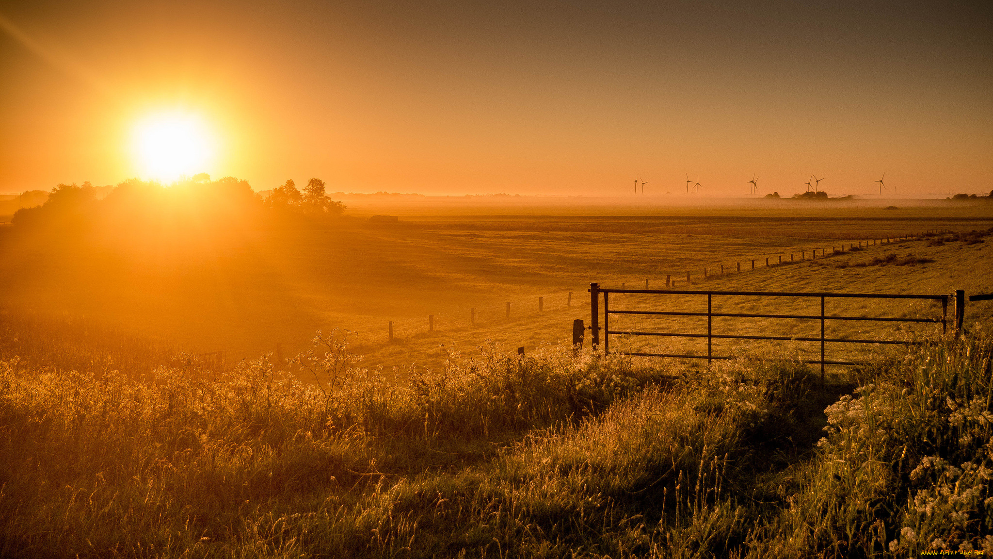природа, восходы, закаты, простор