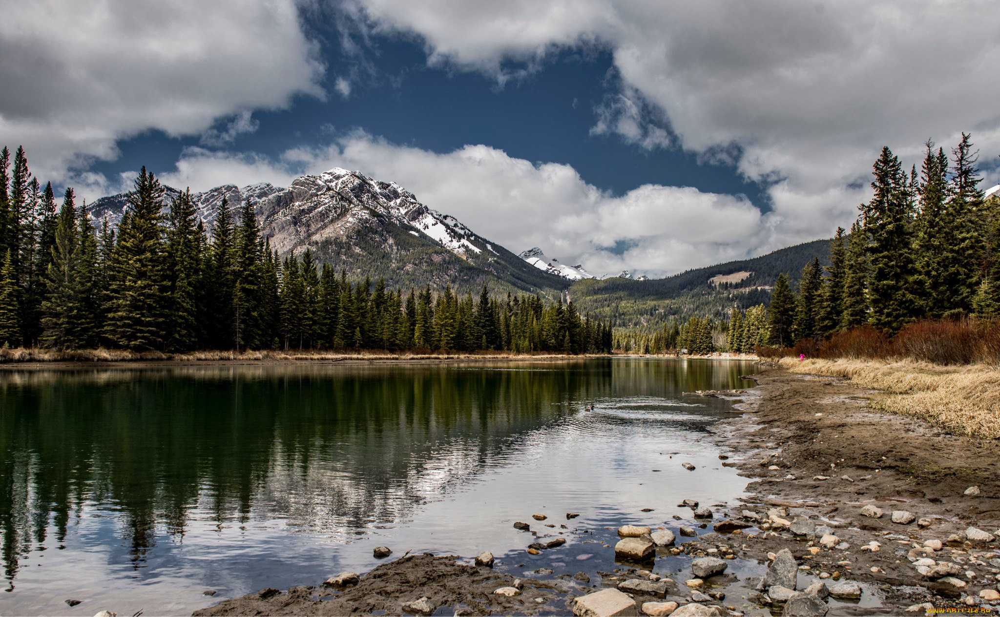 природа, реки, озера, простор