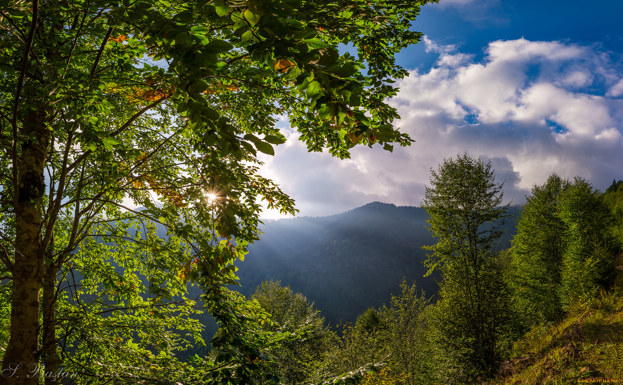 природа, пейзажи, простор