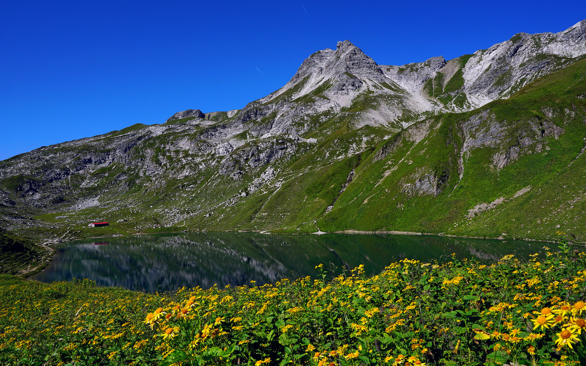 природа, горы, простор