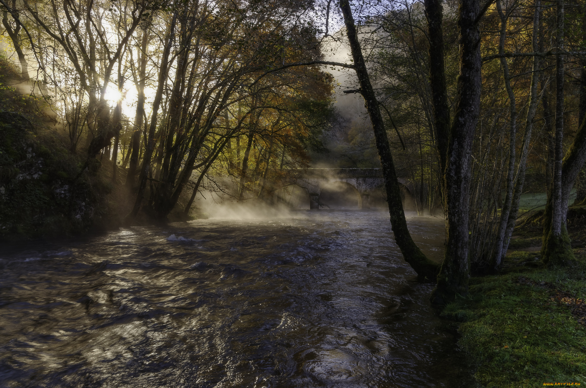 природа, реки, озера, простор