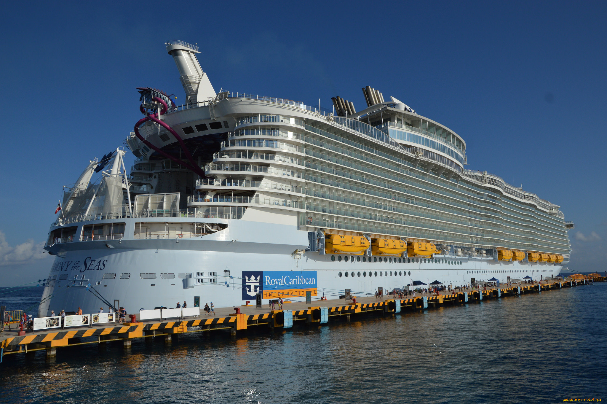 корабли, лайнеры, круиз, лайнер