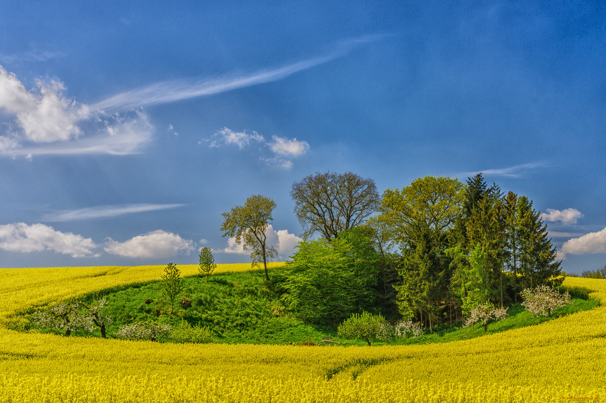 природа, пейзажи, простор