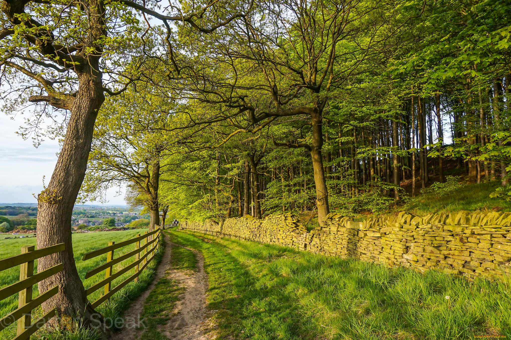 природа, дороги, простор