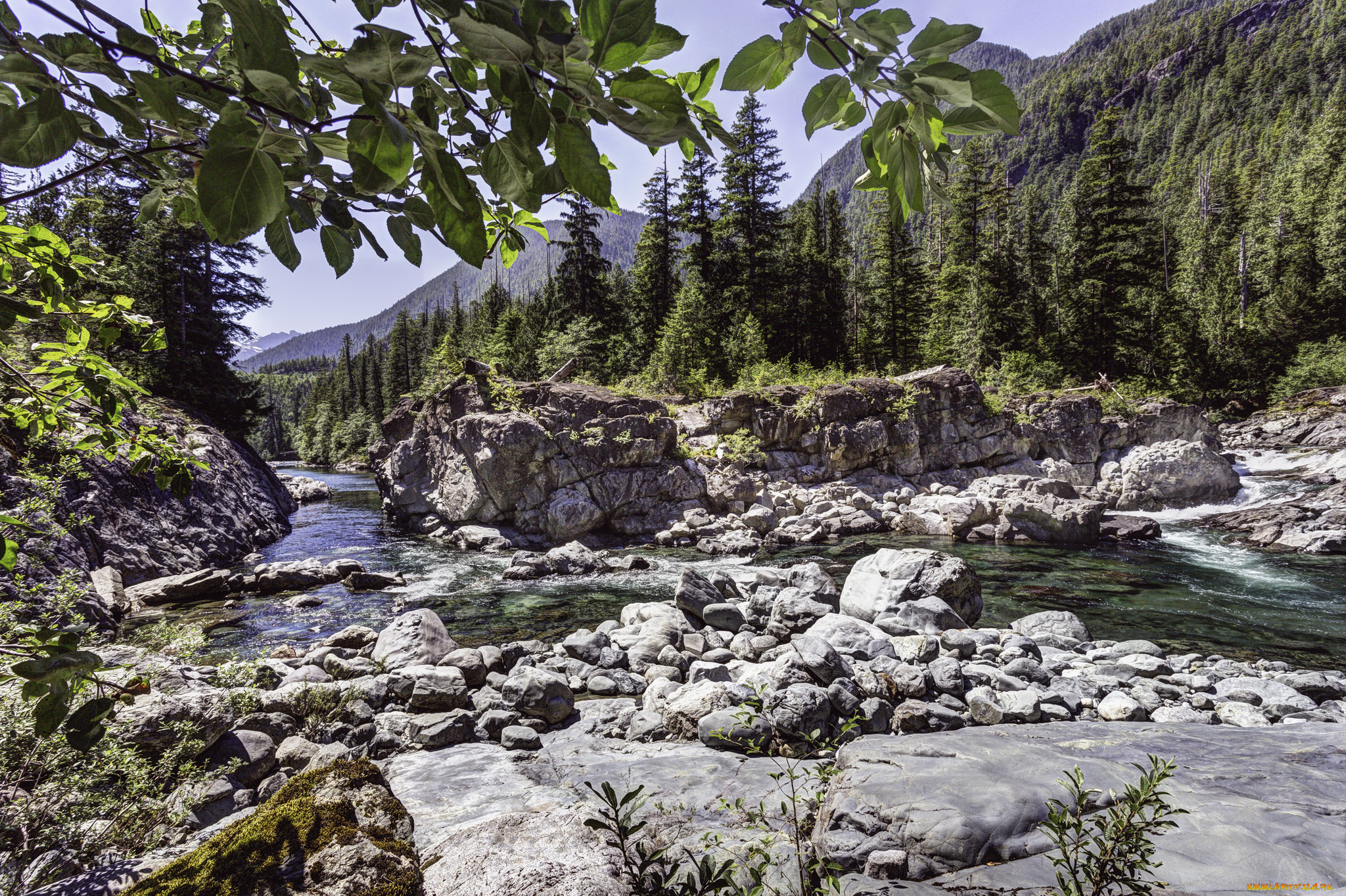 природа, реки, озера, простор