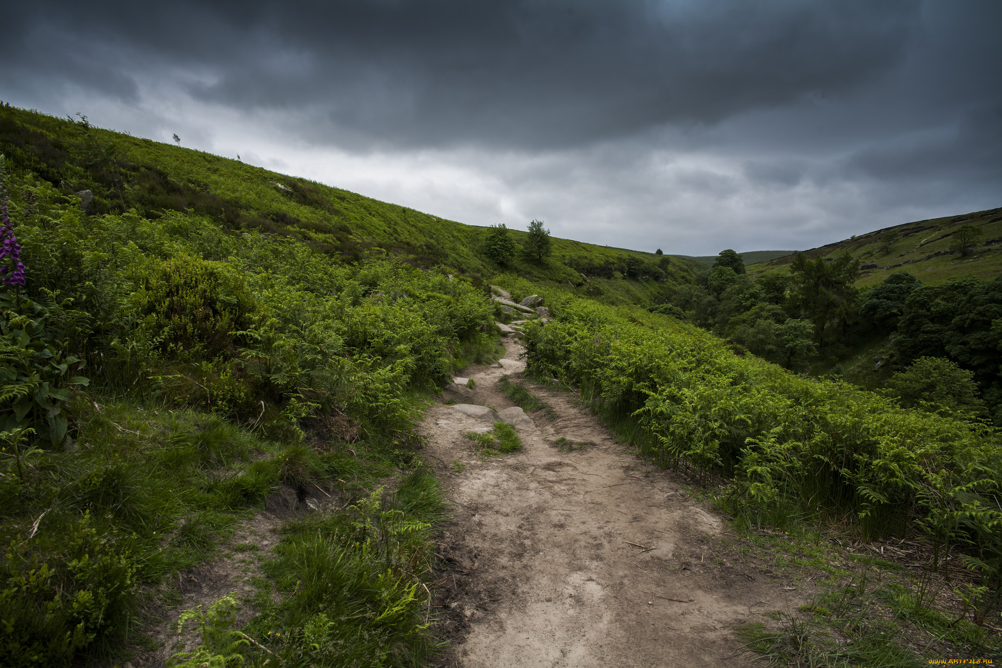 природа, дороги, простор