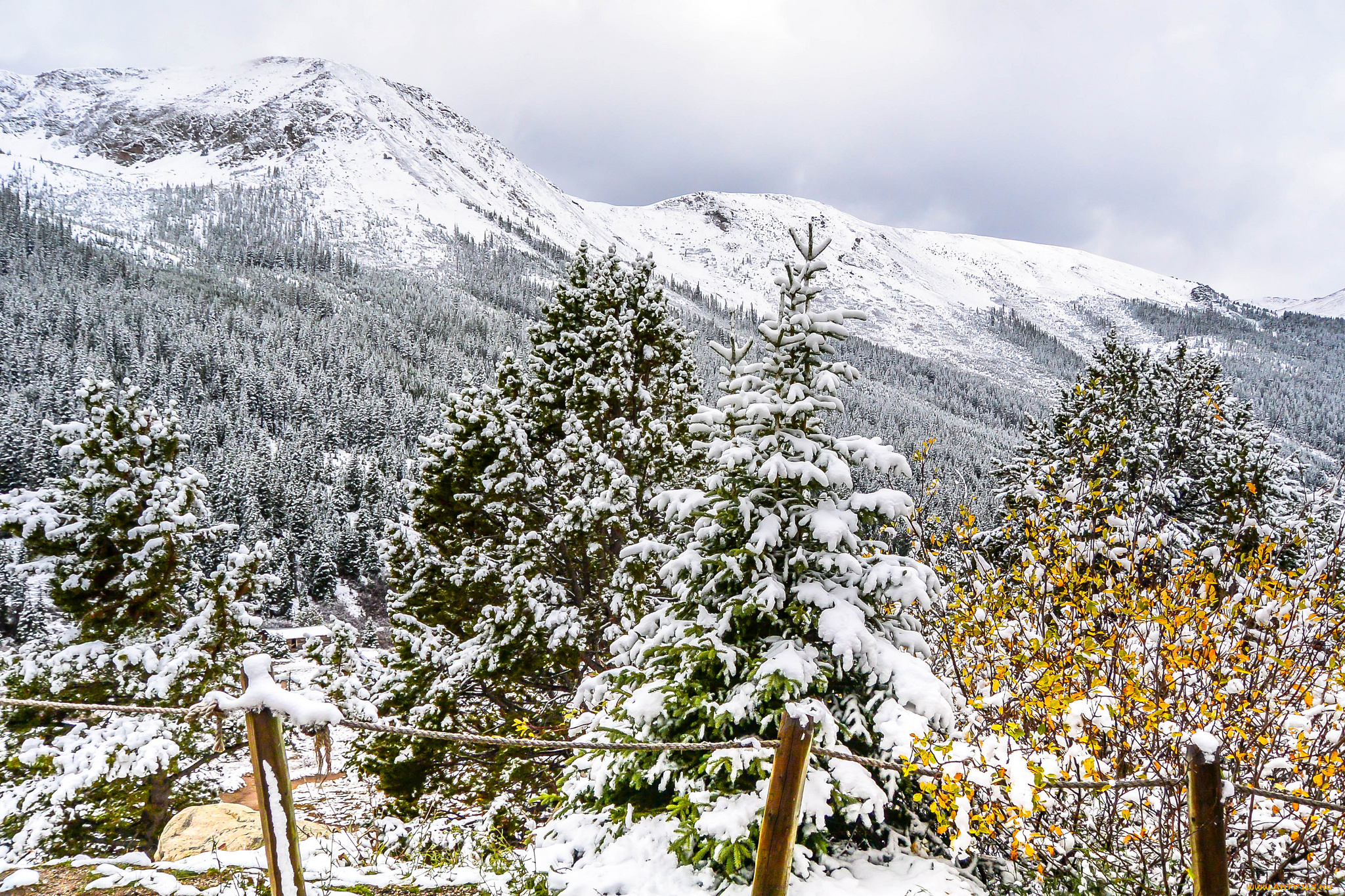 природа, горы, простор