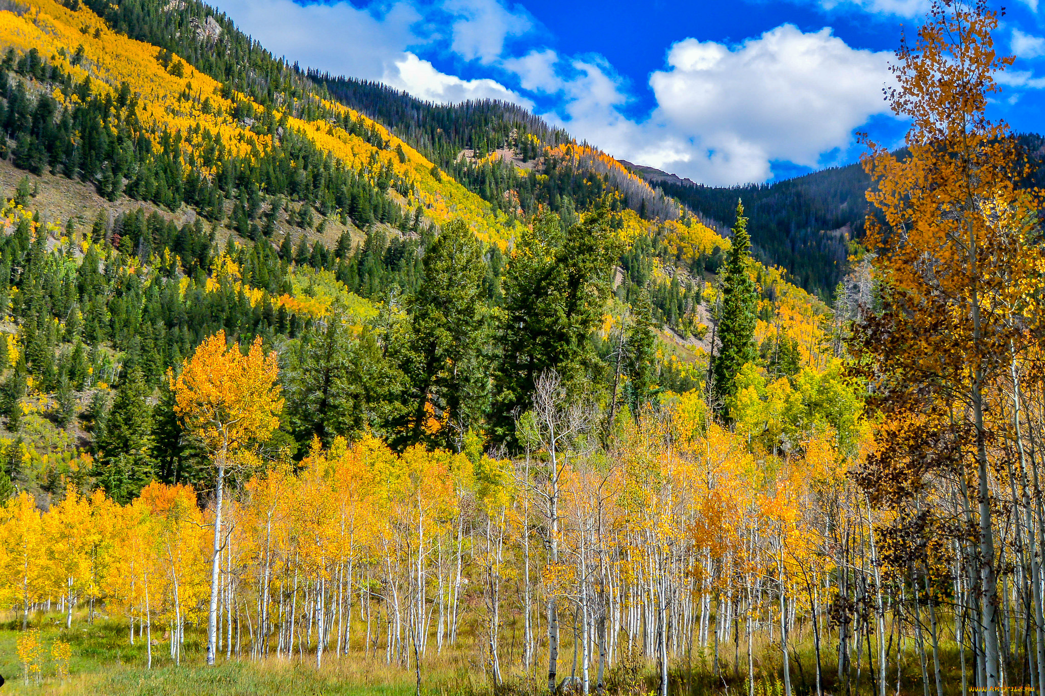 природа, пейзажи, простор