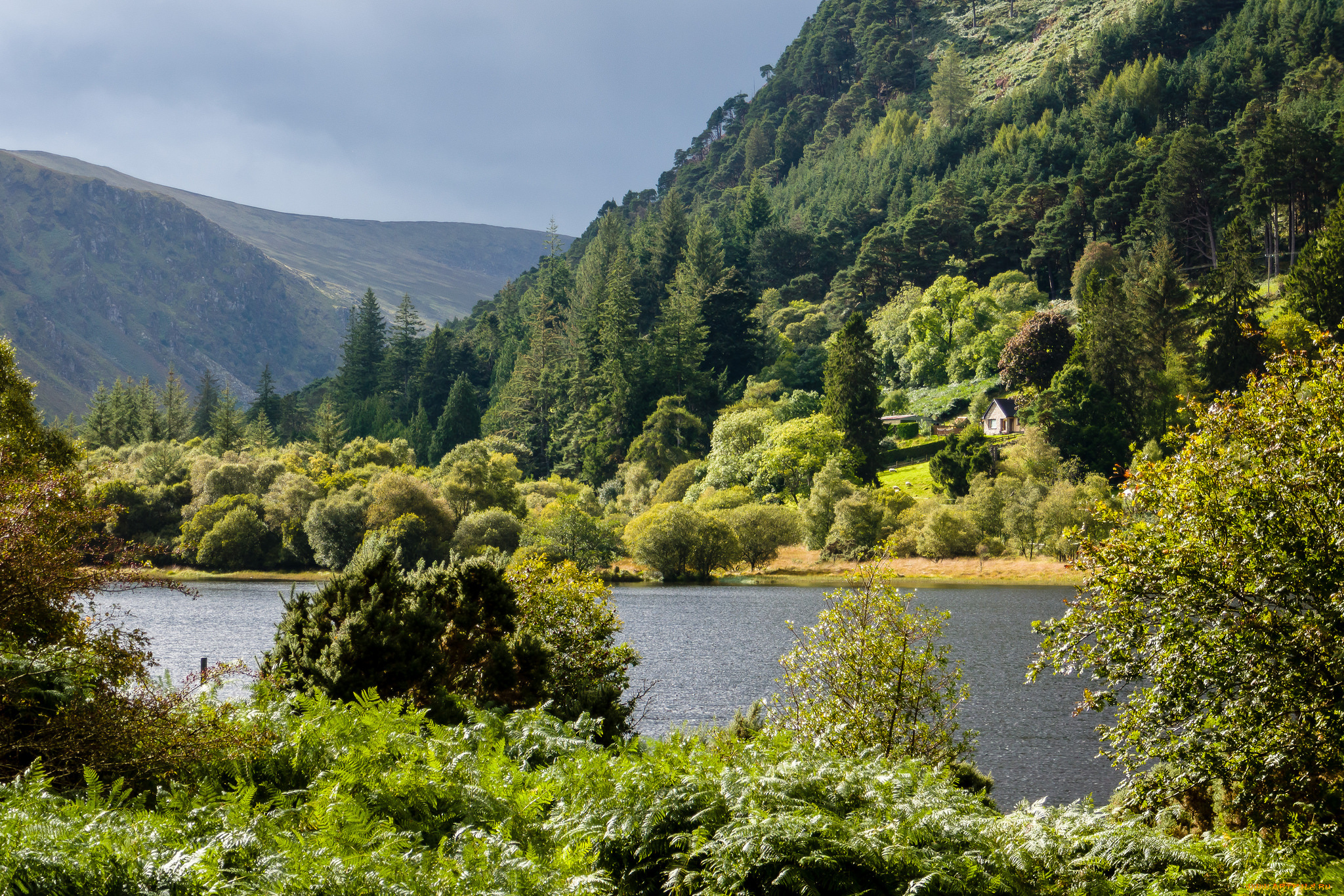 природа, реки, озера, простор