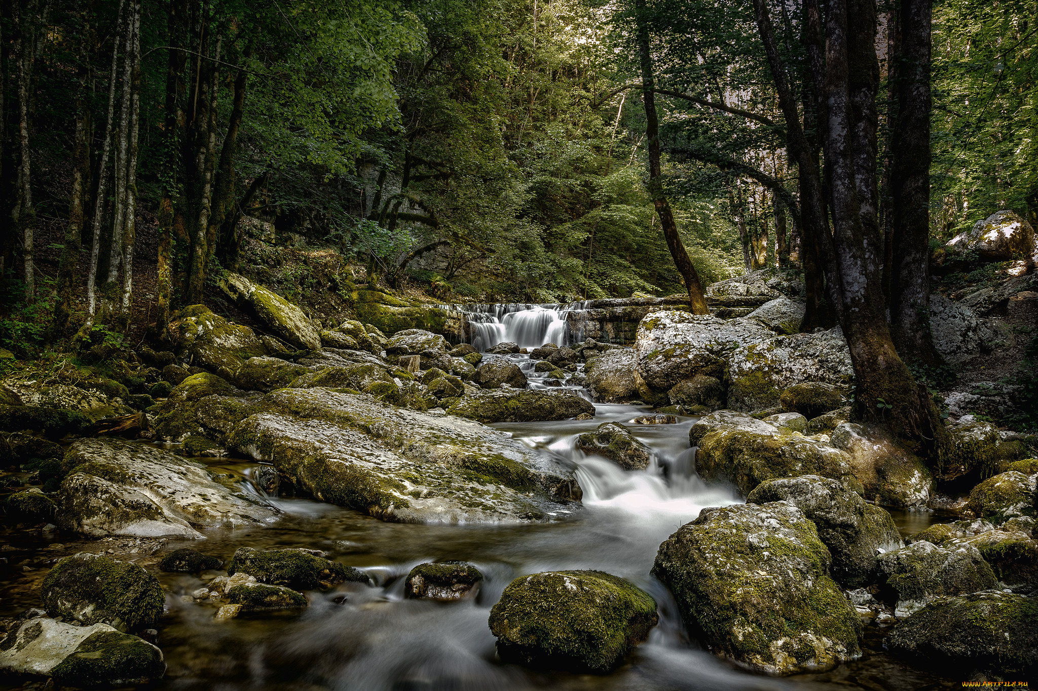 природа, реки, озера, простор