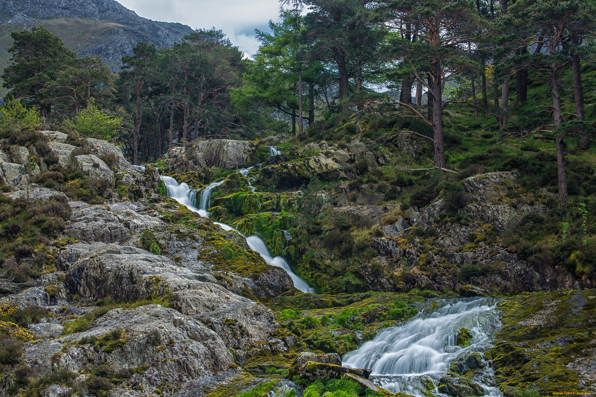 природа, реки, озера, простор