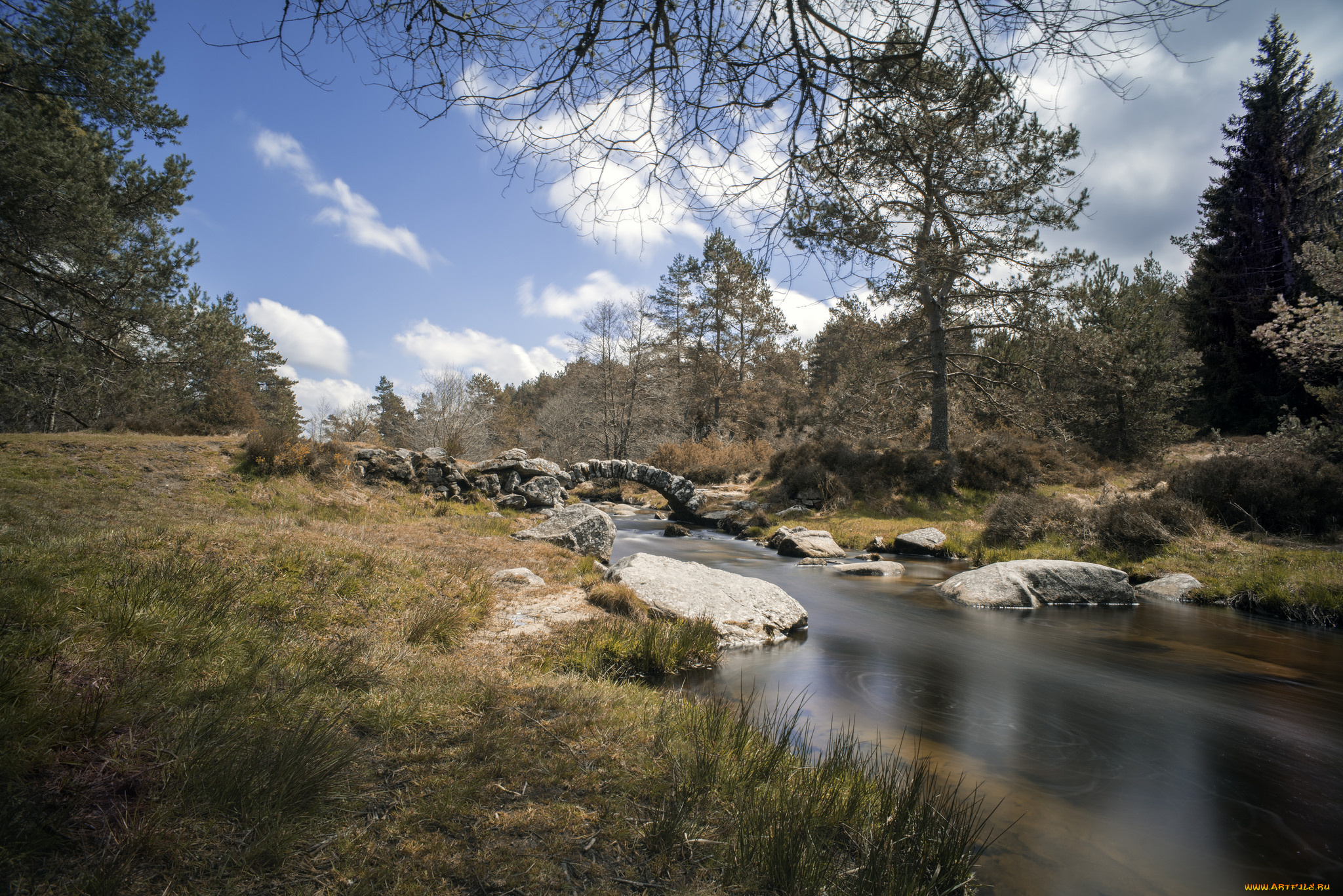 природа, реки, озера, простор