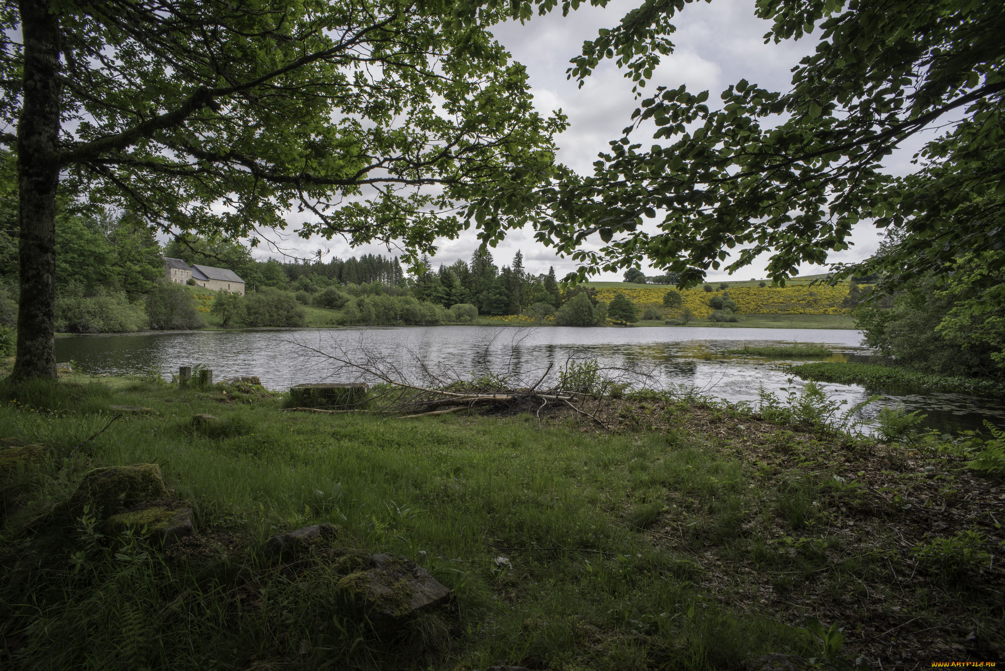 природа, реки, озера, простор