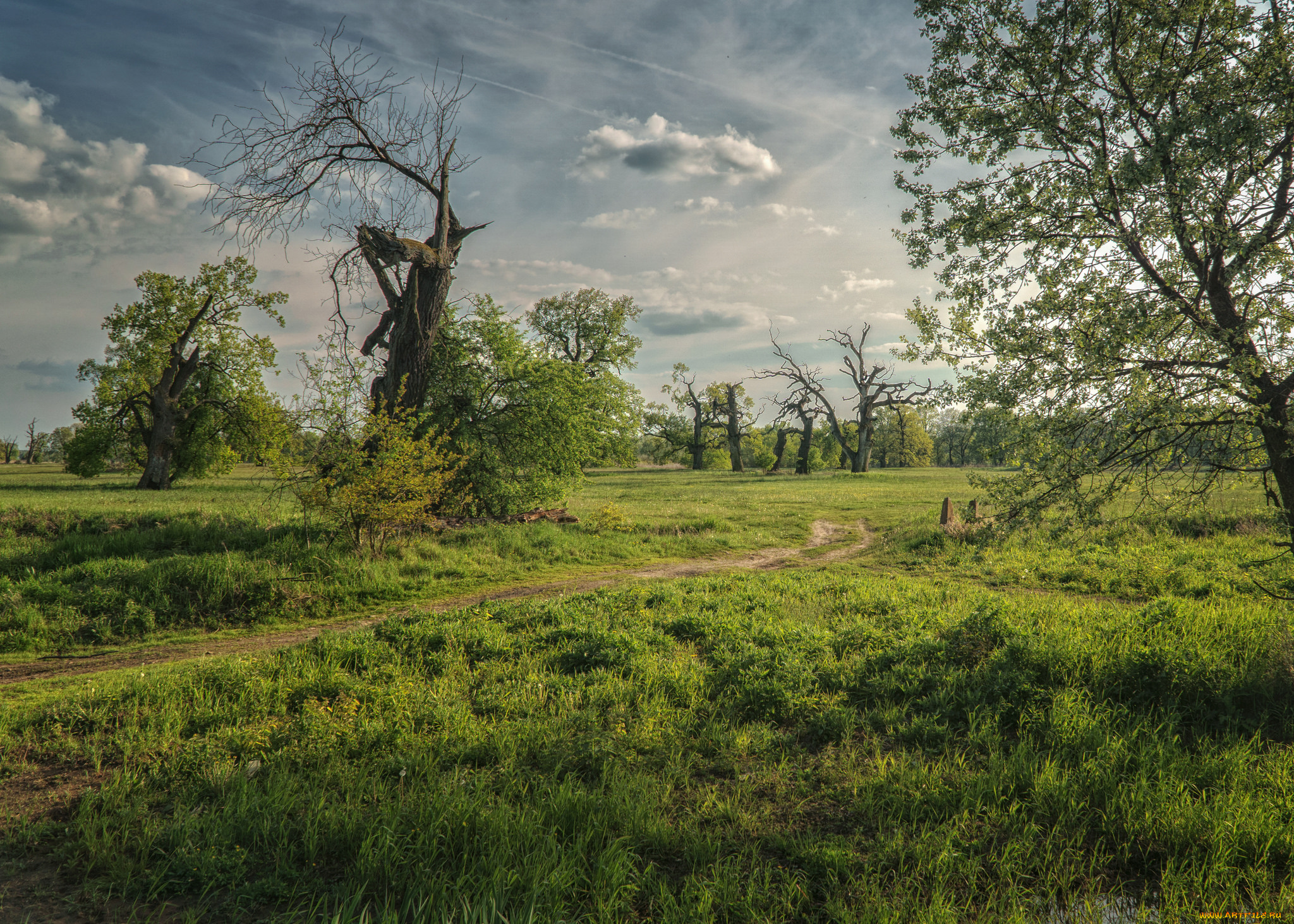 природа, пейзажи, простор