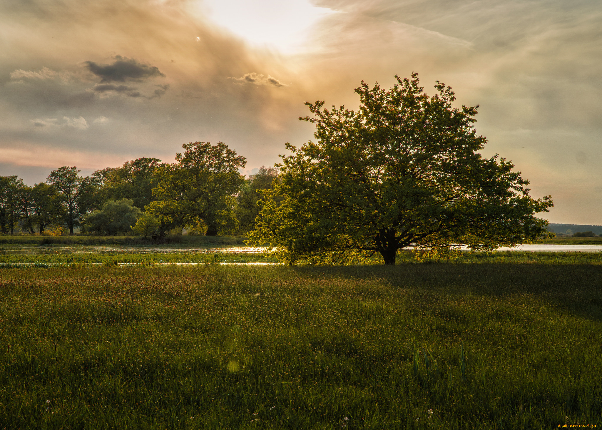природа, пейзажи, простор