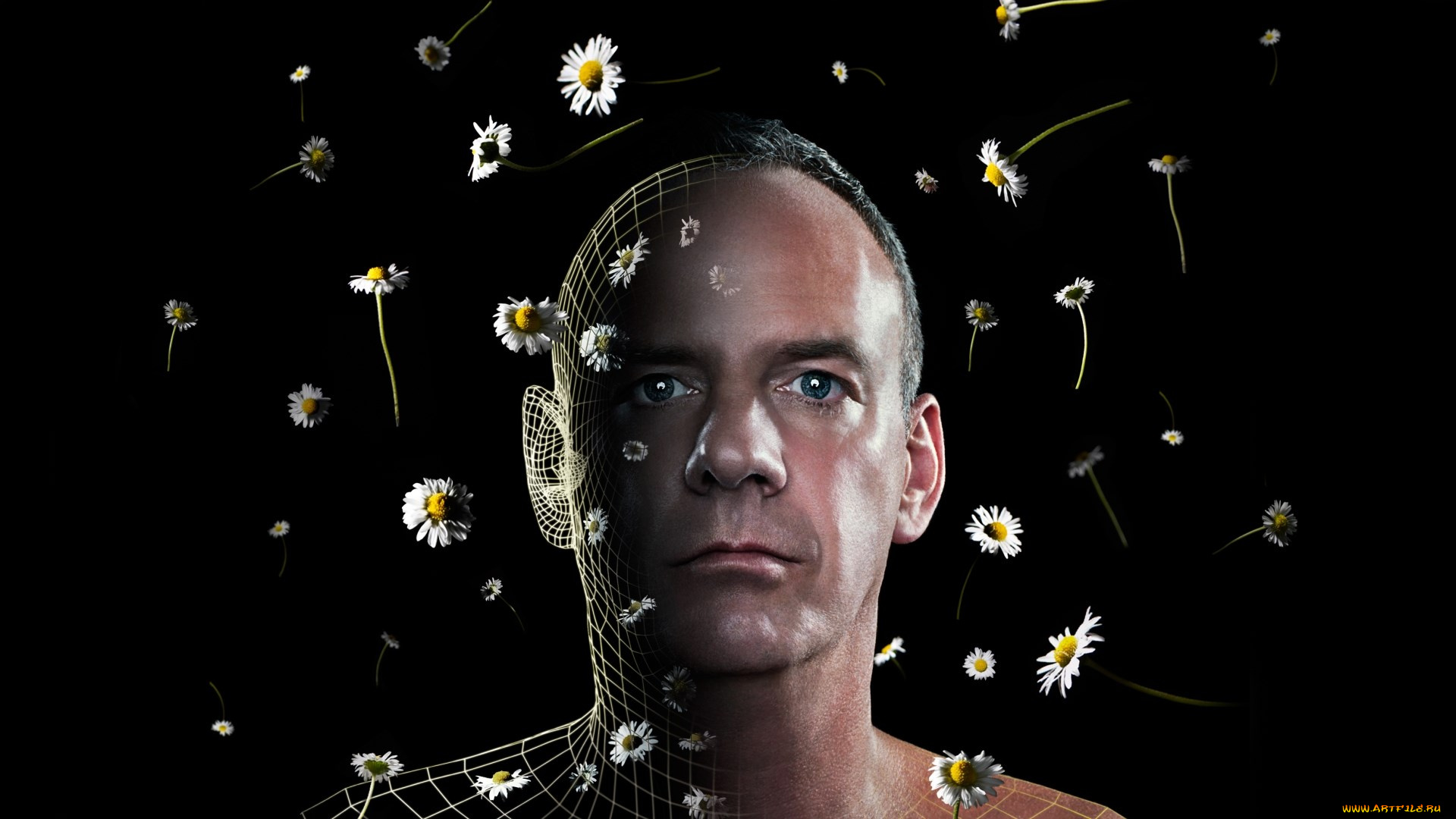 fatboy-slim, музыка, -временный, музыкант