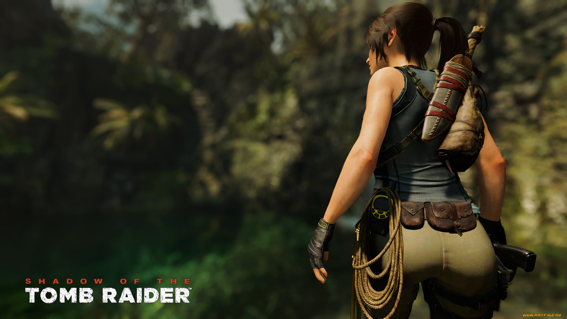 видео, игры, shadow, of, the, tomb, raider, shadow, of, the, tomb, raider