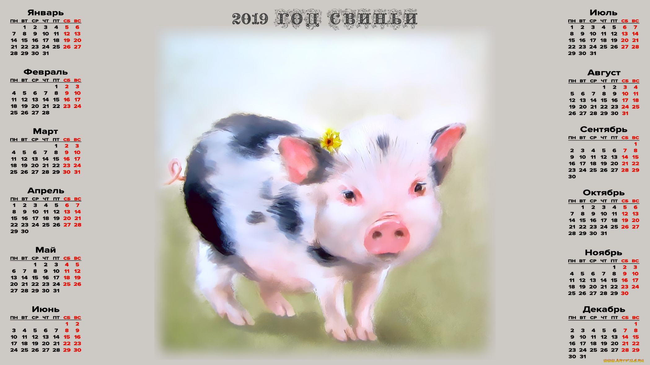 календари, праздники, , салюты, поросенок, свинья