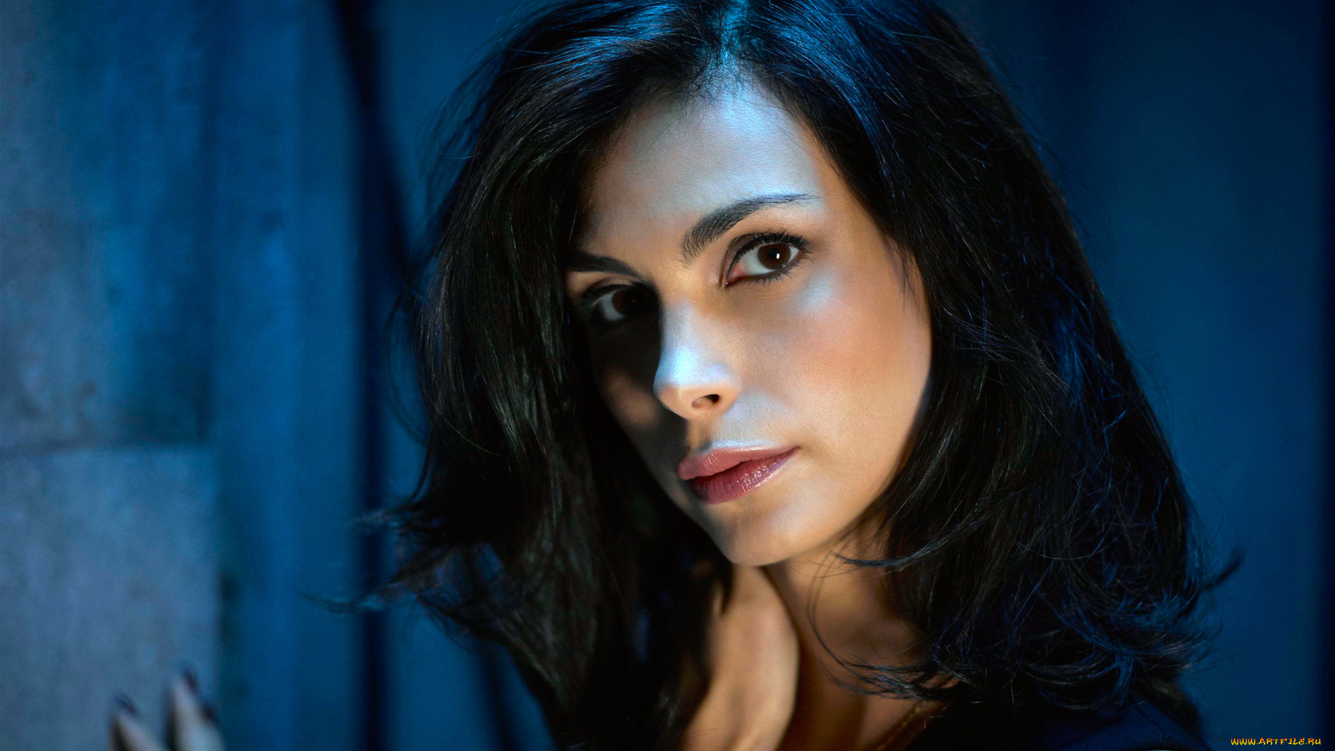 morena, baccarin, девушки, взгляд, макияж, портрет, лицо, красотка, модель, брюнетка, актриса, девушка, morena, baccarin