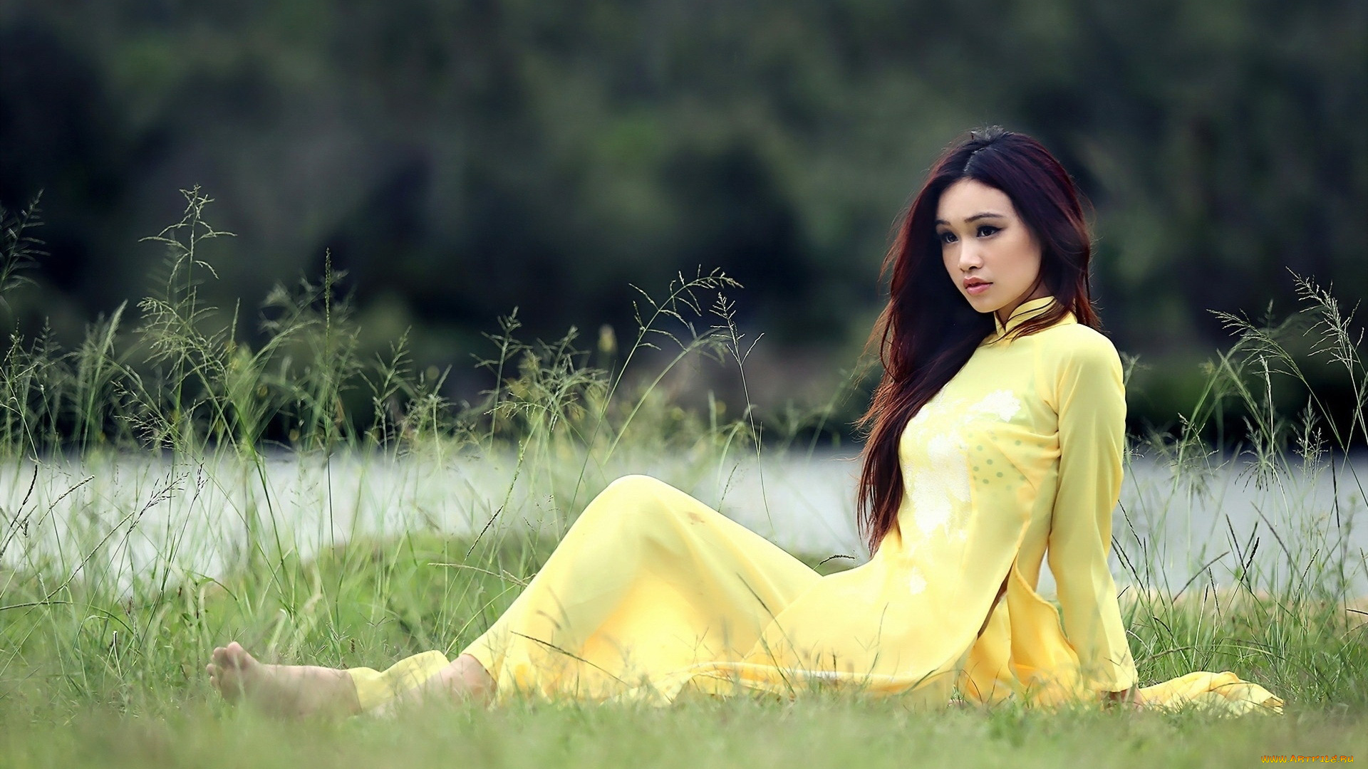 девушки, -, азиатки, национальный, костюм