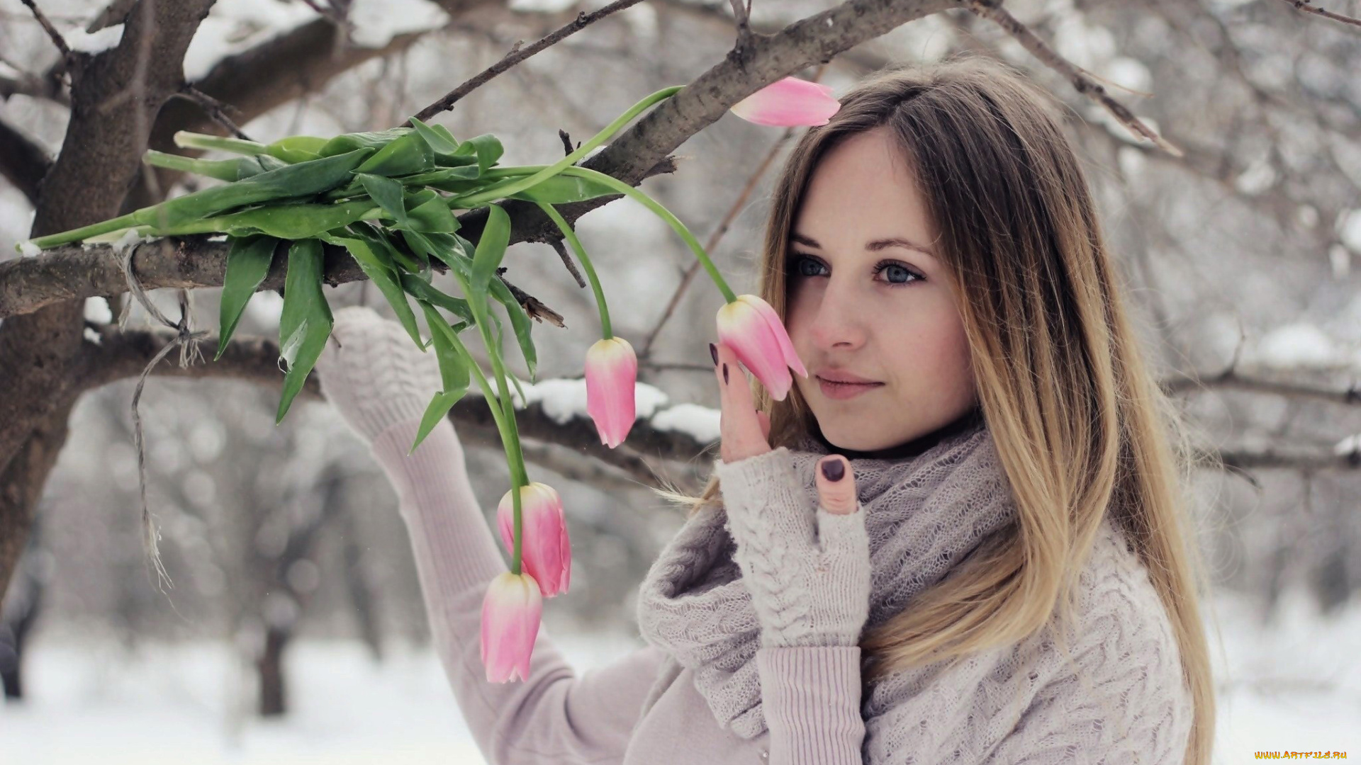 девушки, -, блондинки, , светловолосые, тюльпаны