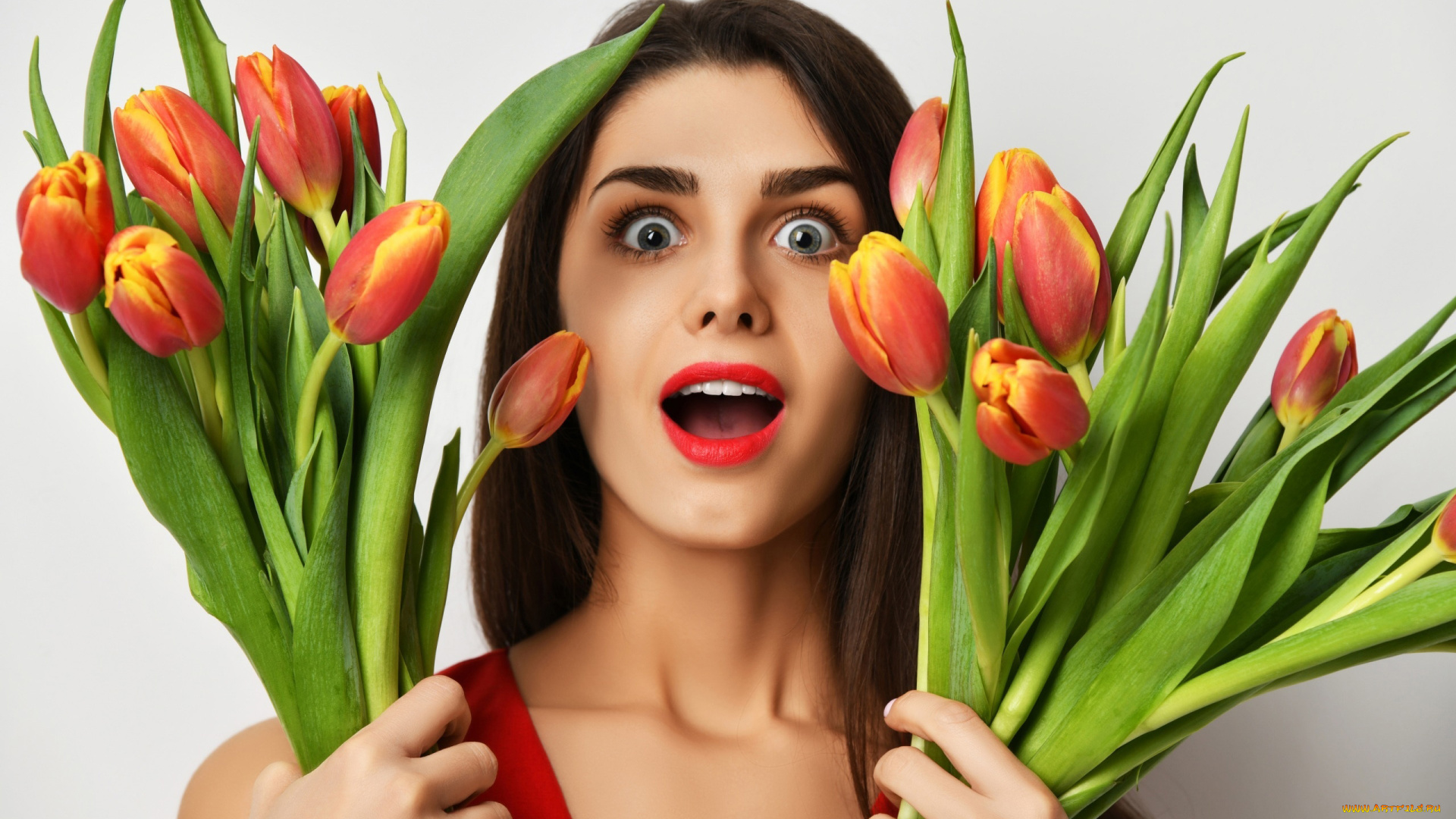 девушки, -, брюнетки, , шатенки, тюльпаны