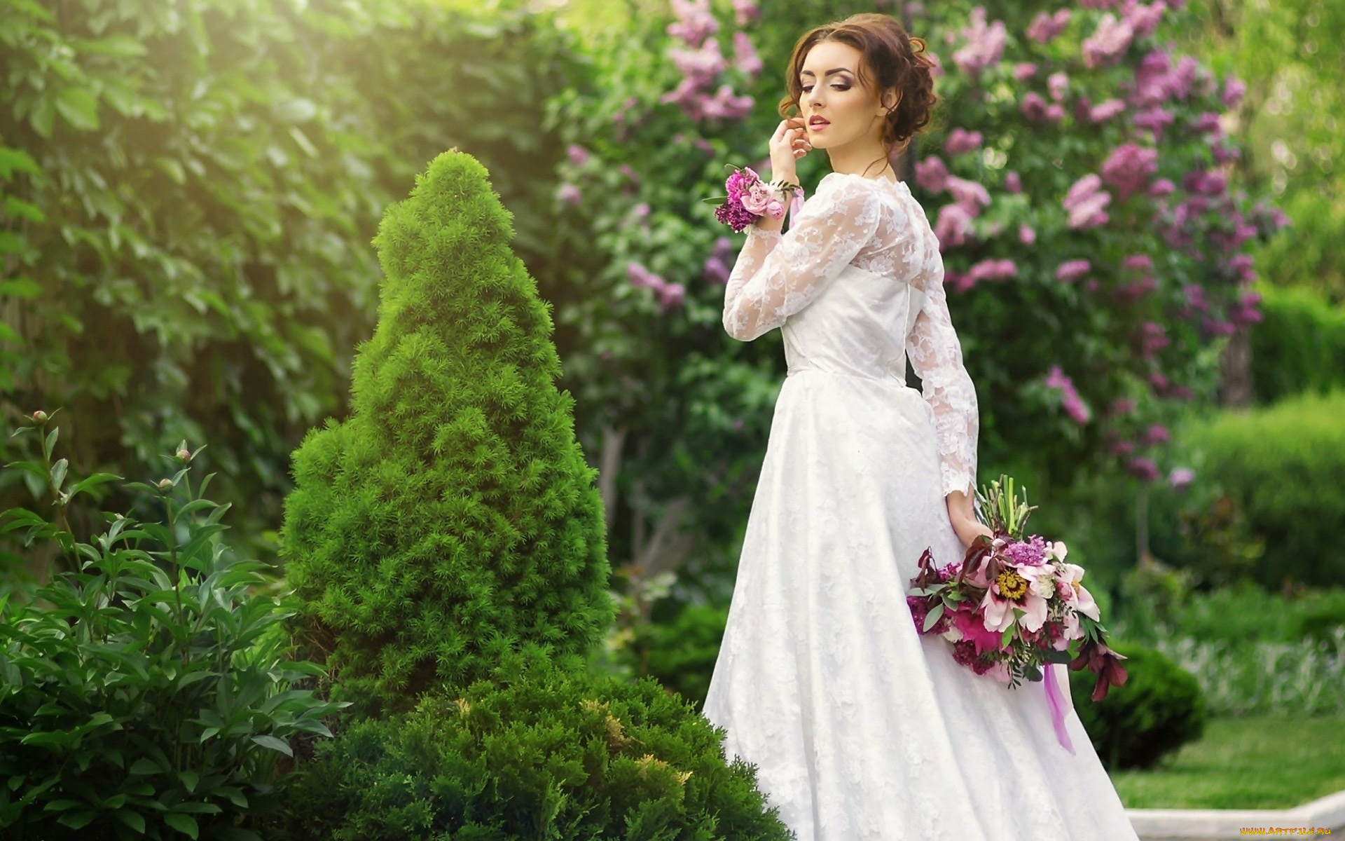 девушки, -, невесты, невеста