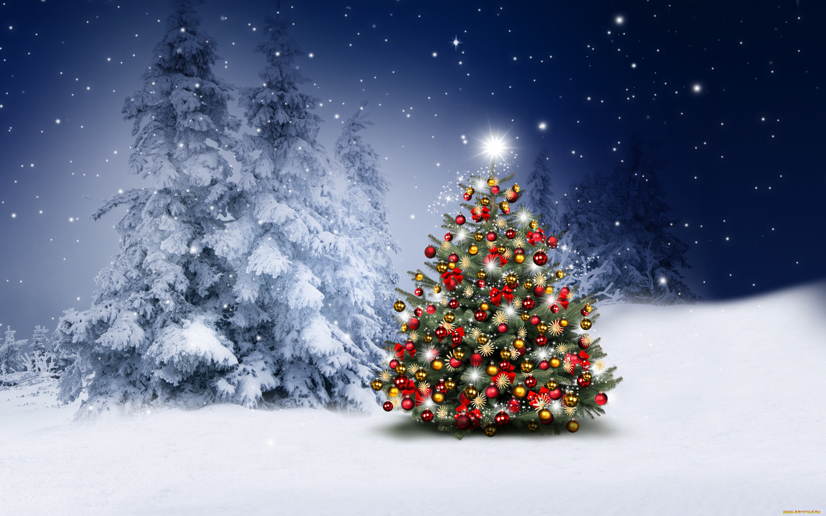 праздничные, ёлки, merry, christmas