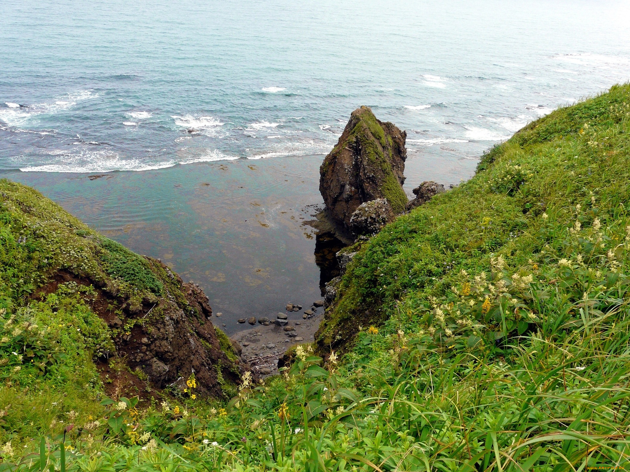 бухта, тихая, сахалин, природа, побережье, бухта, тихая, сахалин, россия, море, скалы