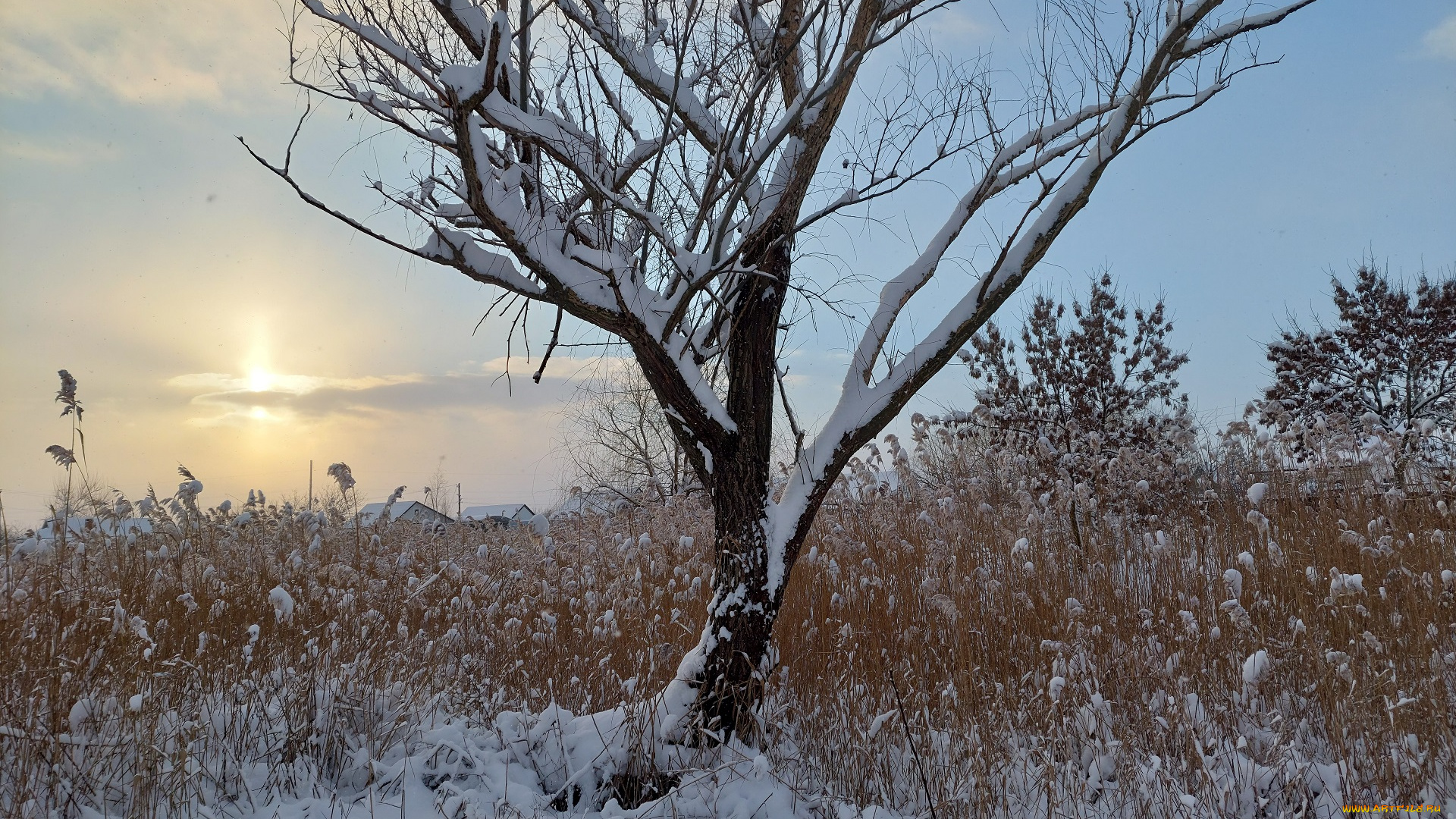 природа, восходы, закаты, зима, снег